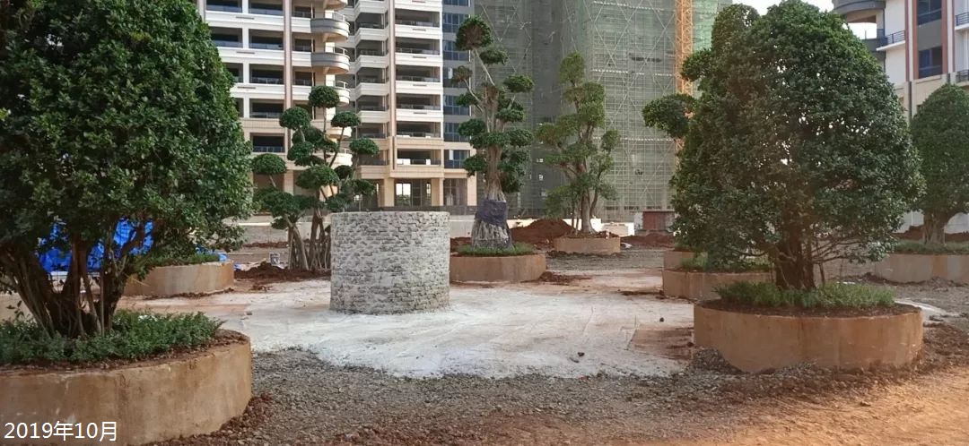 椰海温泉嘉苑施工进度（2019年10月）