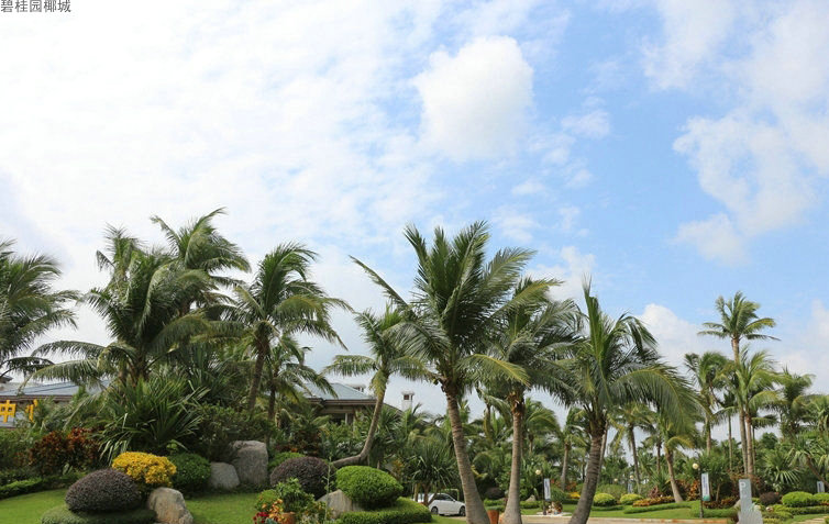 碧桂园椰城实景图
