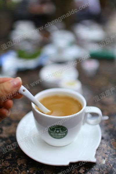 网媒走进侯臣咖啡文化村 享受咖啡生活